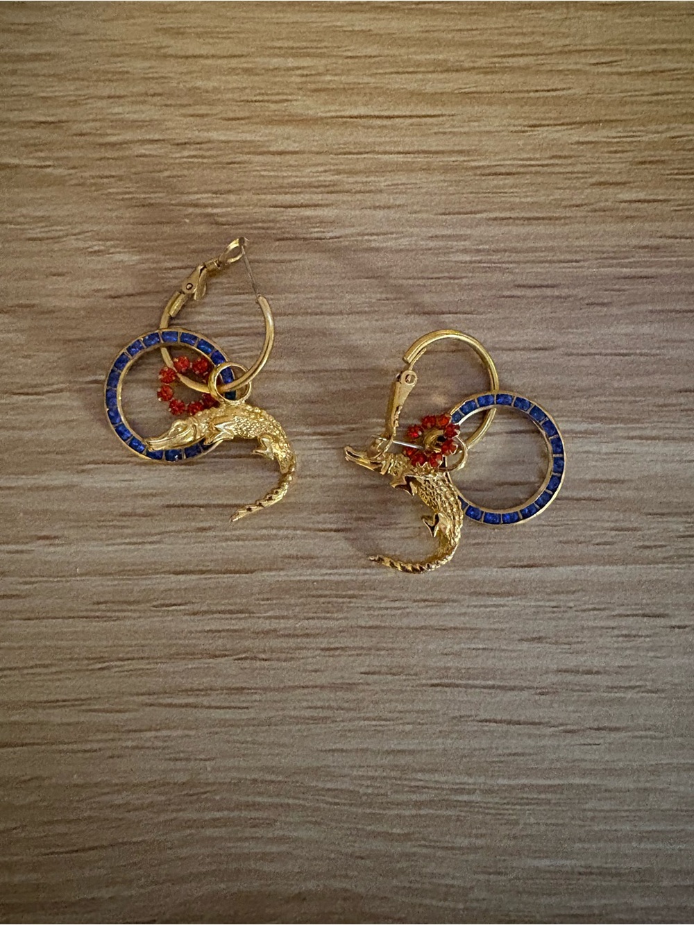 Florida Gator Earrings